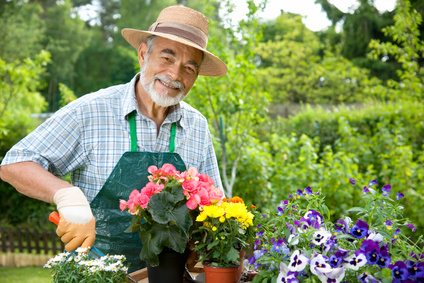 Themed Memory Gardens