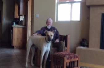 Pawsitive impact: animal-assisted therapy in Alzheimer's care