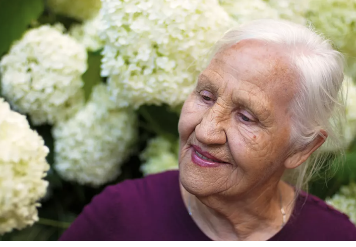 What are the CQC inspection criteria for nursing homes?