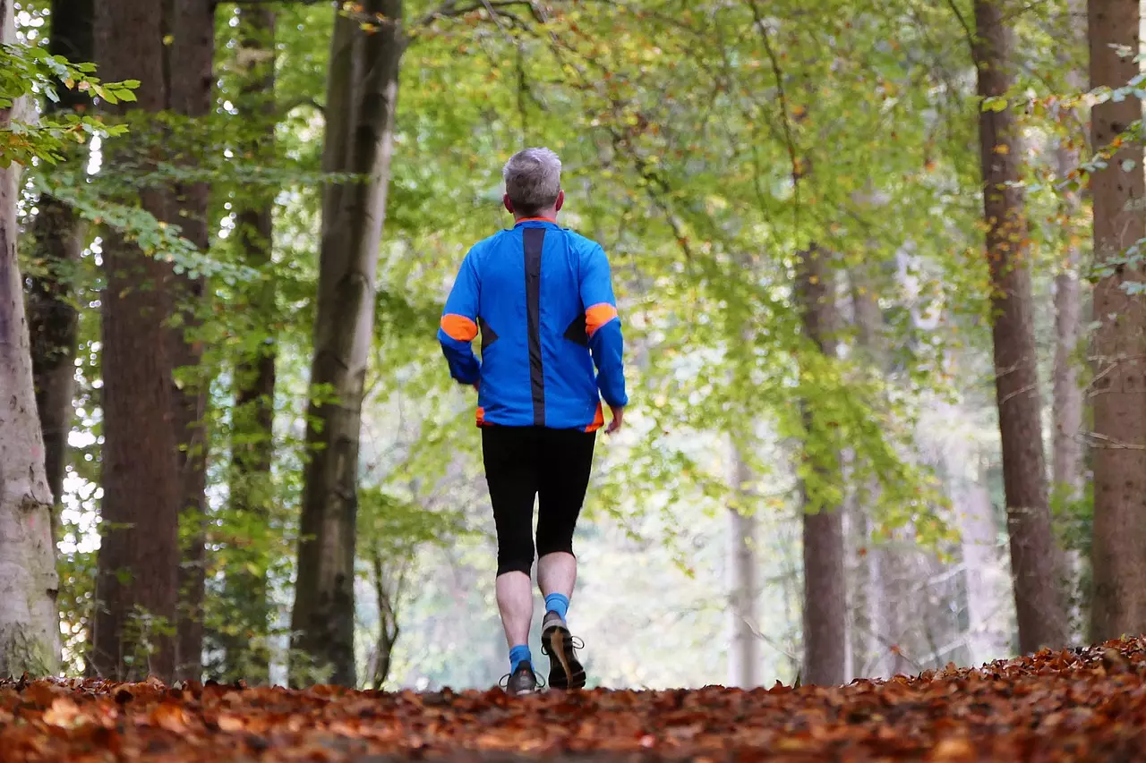 How to preserve joint mobility in seniors?